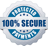 100-secure-payment